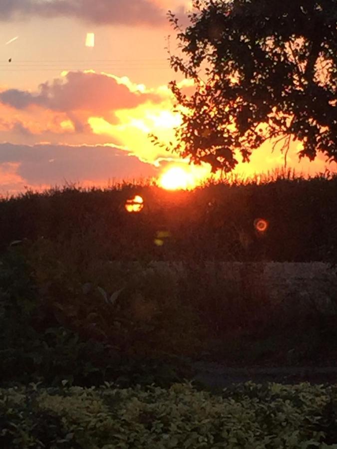 Corner House Luxury Bnb Little Dunmow Exteriér fotografie